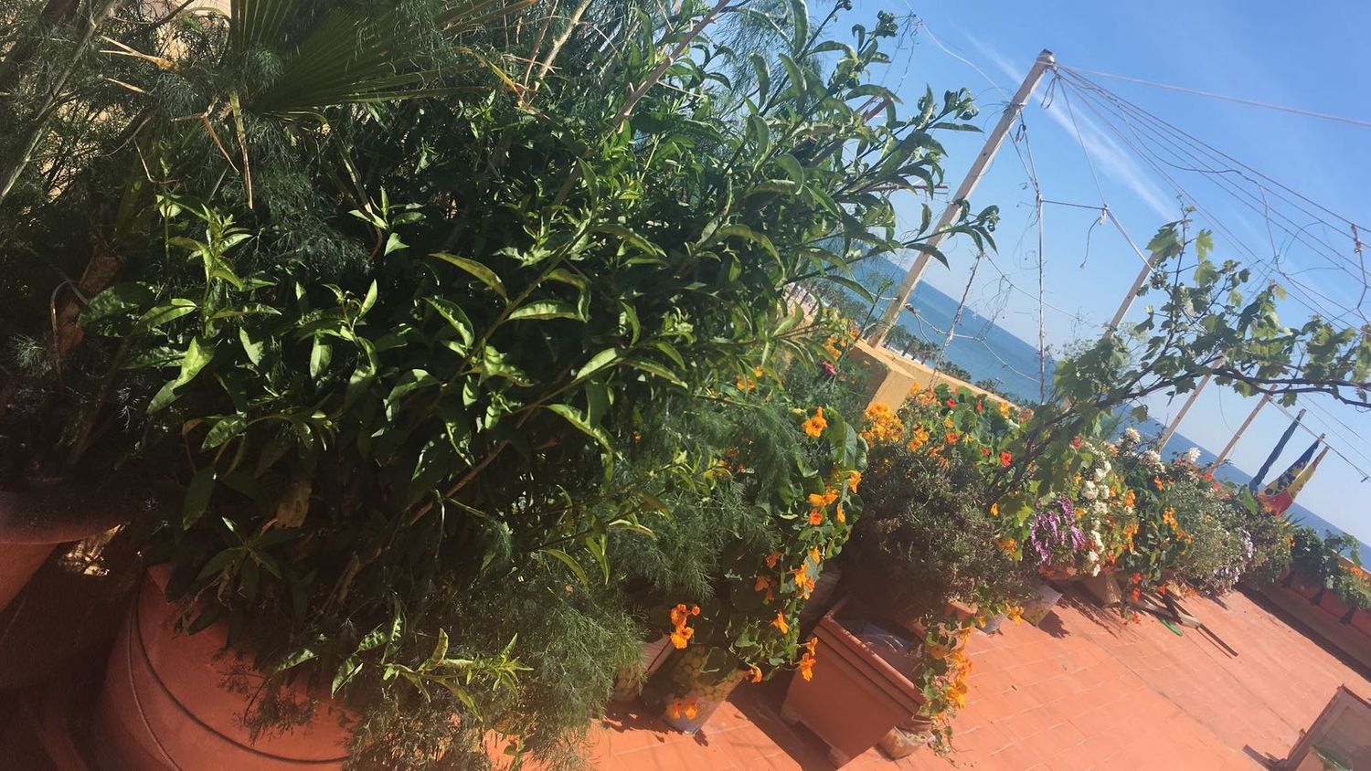 Ático en Barrio Playa de la Malvarrosa - Foto 10