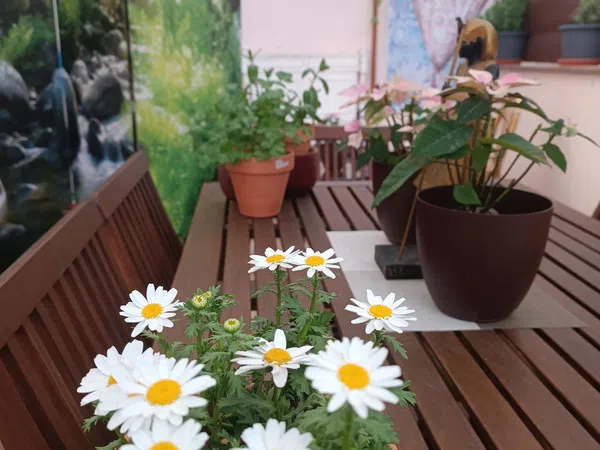 Piso en calle de l' Estalvi, 28 - Foto 3