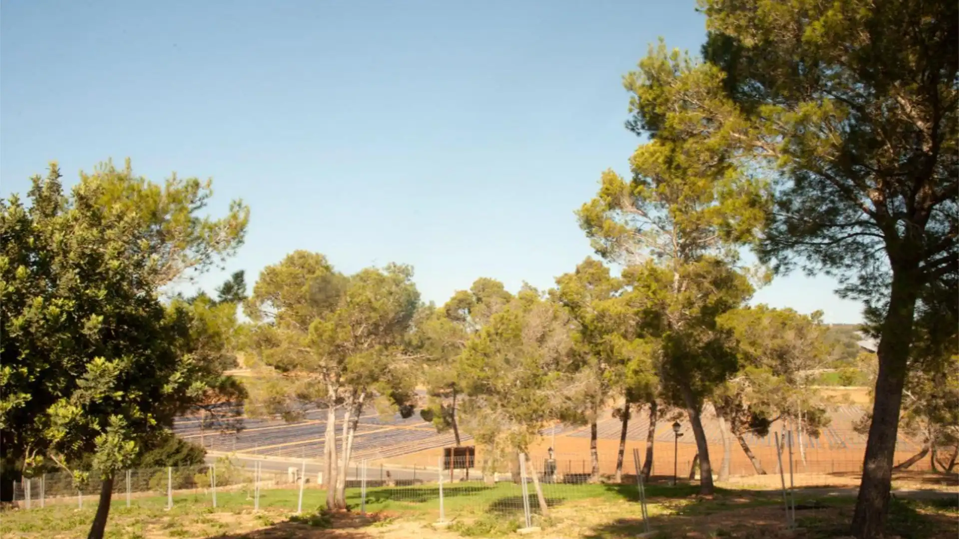 Finca rústica en  Diseminado 8725- Sa Casa Blanca 363 - Foto 5