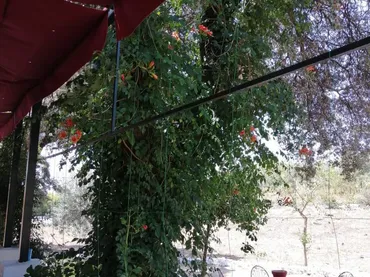 Finca rústica en  Desconocido a-431 de Cordoba a Lora del Rio 17 - Foto 3