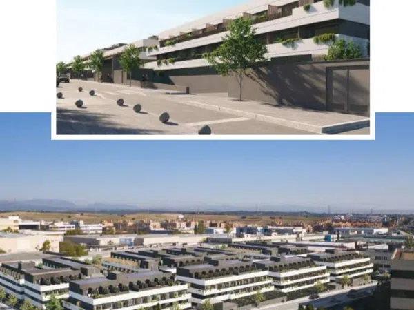 Estudio en Fuerteventura, 7