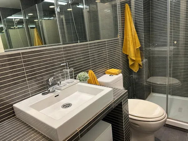 Estudio en Avenida Cayetano del Toro, 23, Zona Laguna, Zona Laguna - Foto 12