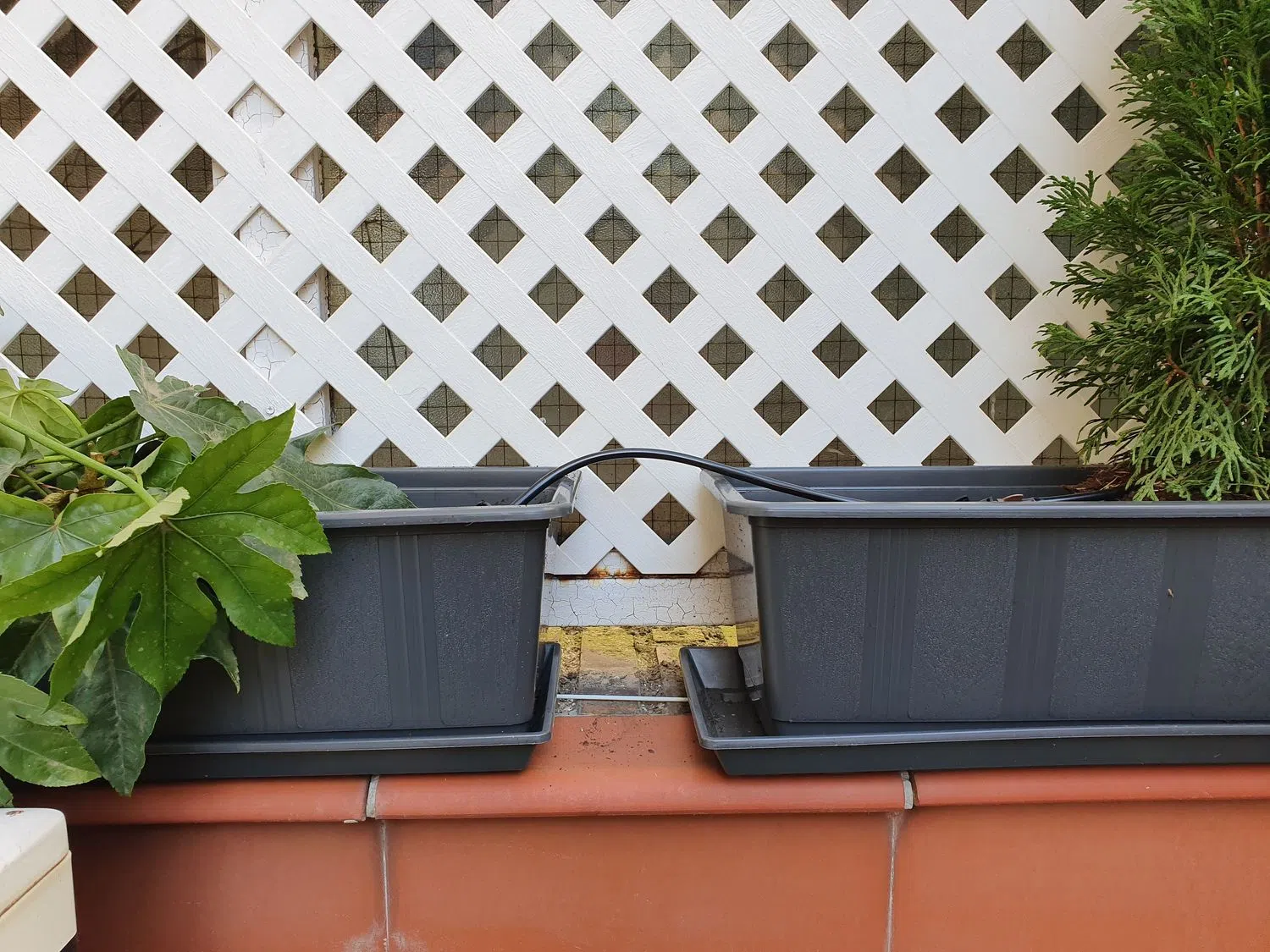 Piso en calle de Montesa, 38 - Foto 6