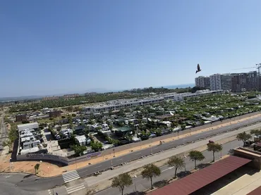 Apartamento en  Avenida Central 58 - Foto 23