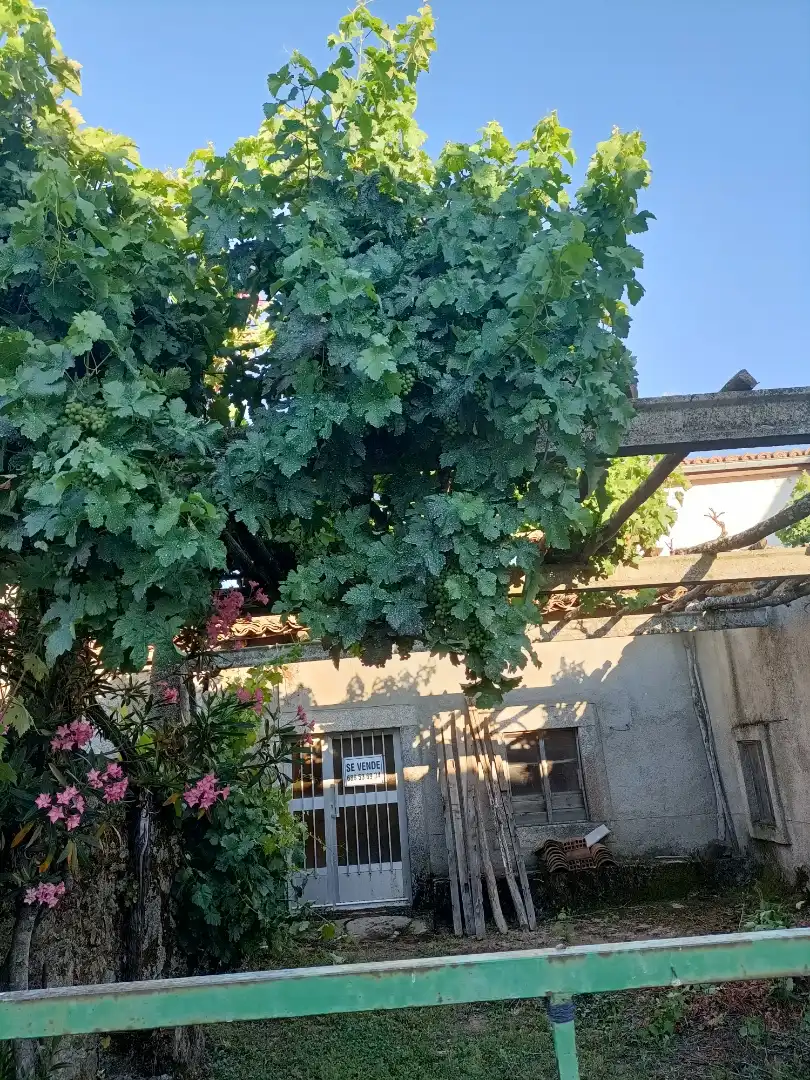 Planta baja en  Calle las Eras 24 - Foto 3