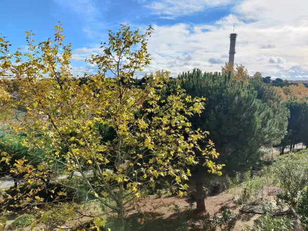 Dúplex en Sector Foresta, 14 - Foto 22