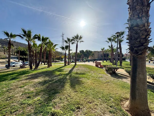 Chalet adosado en Calle Pepa Flores Marisol, 30, Huerta Nueva - Jardín de Málaga - Foto 25