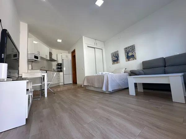 Estudio en Calle Fernández Alarcón, Camino de Antequera - Foto 2