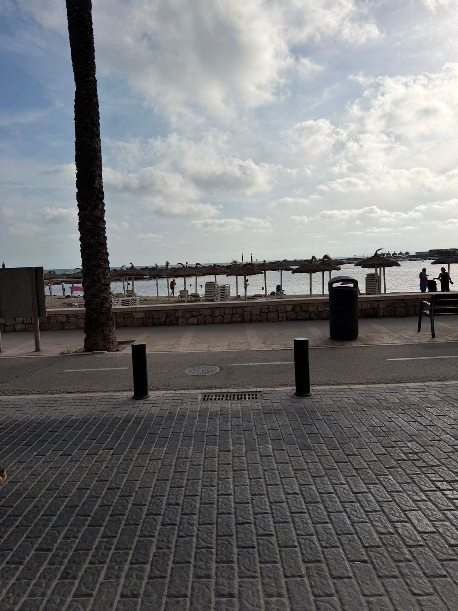 Piso en Calle d'Horaci, 13, Can Pastilla - Foto 13