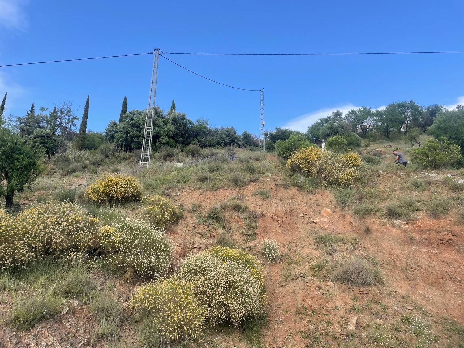 Finca rústica en Camino de Alozaina, 10 - Foto 7
