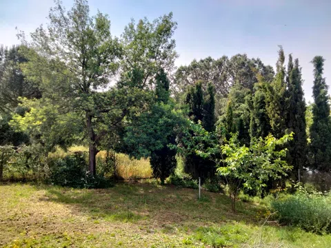 Casa independiente en avenida Rosal, 20 - Foto 6