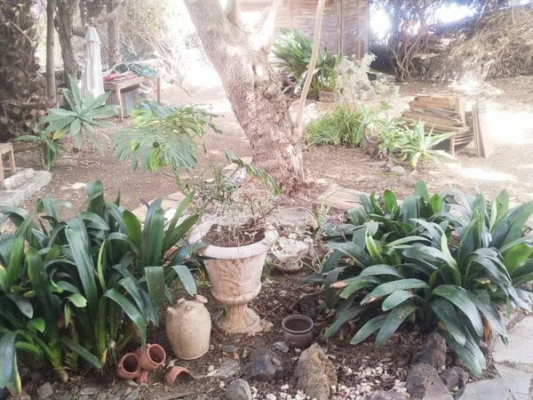 Finca rústica en Carretera Enlace el Ramal, 18 L, Centro, Centro - Foto 3