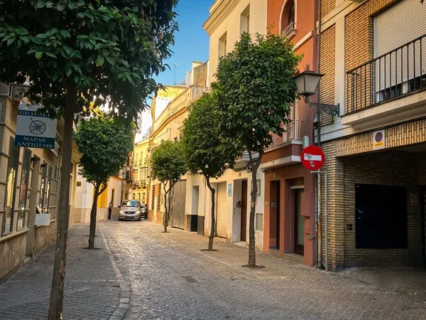 Piso en Calle San Pedro Martir, 8, Arenal - Museo - Tetuán - Foto 30