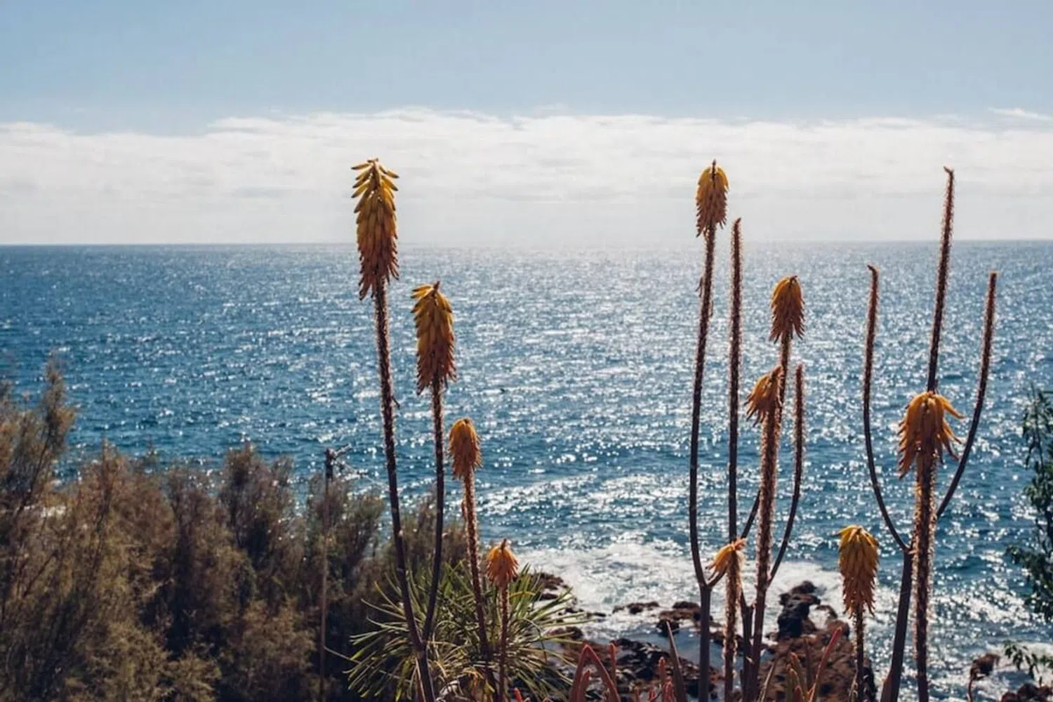 Estudio en La Esperanza-Llano del Moro - Foto 8