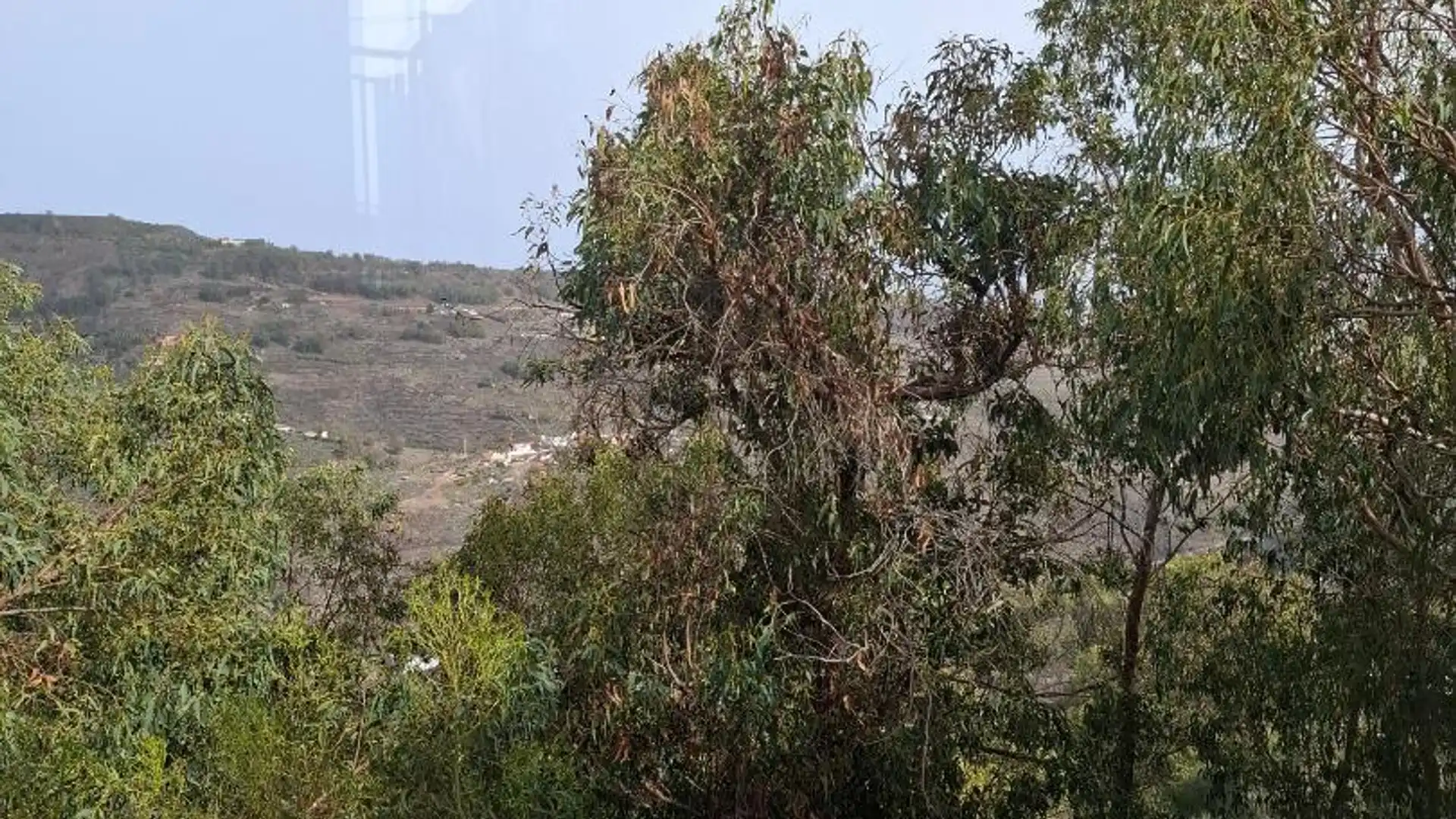 Dúplex en  Lugar San Jose del Alamo 1 - Foto 3