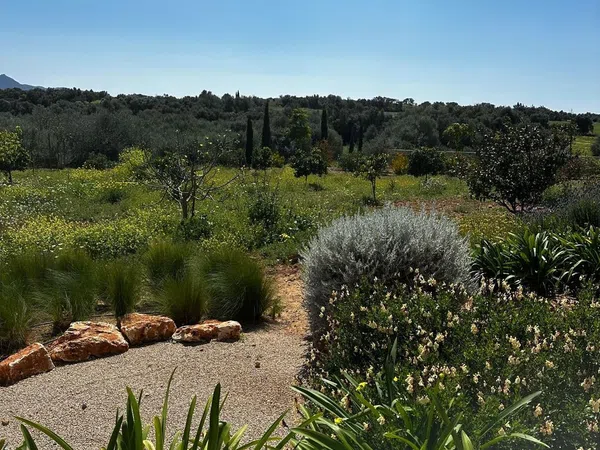 Casa rural en Carretera Ma-5110, 15, Manacor Centro, Manacor Centro - Foto 11