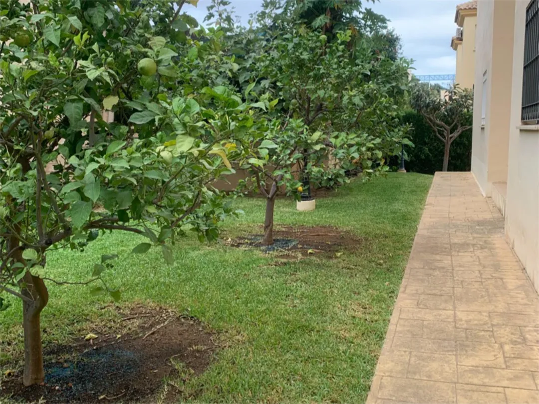 Piso en  Avenida Carlota Alessandri 170 - Foto 22