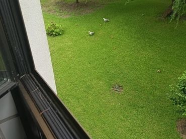 Piso en  Rúa Romero Ortiz 27 - Foto 5