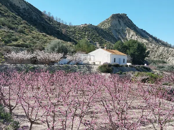 Casa rural en B-10 s/n - Foto 1