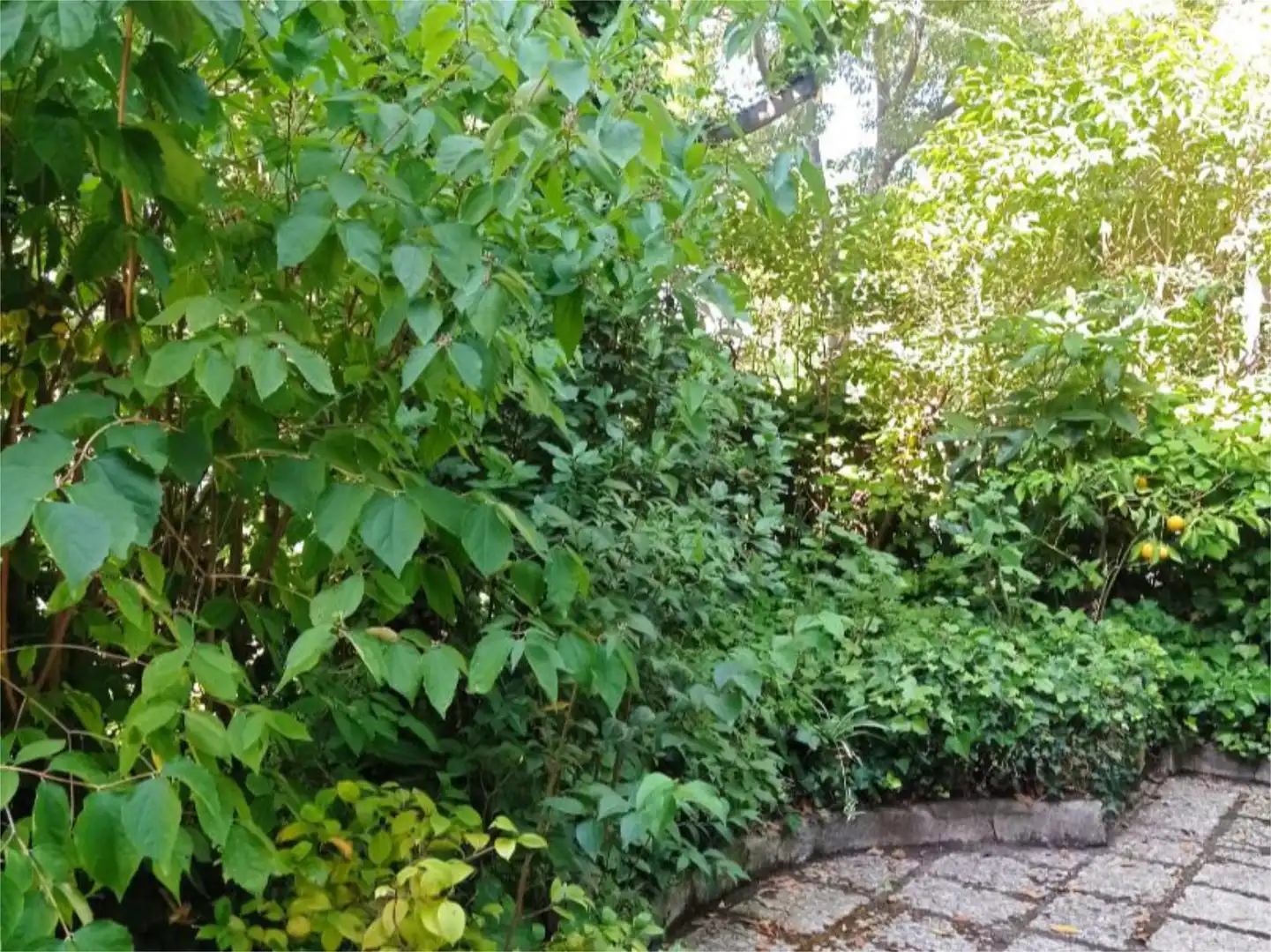 Chalet en  Calle del Genil 2 - Foto 2