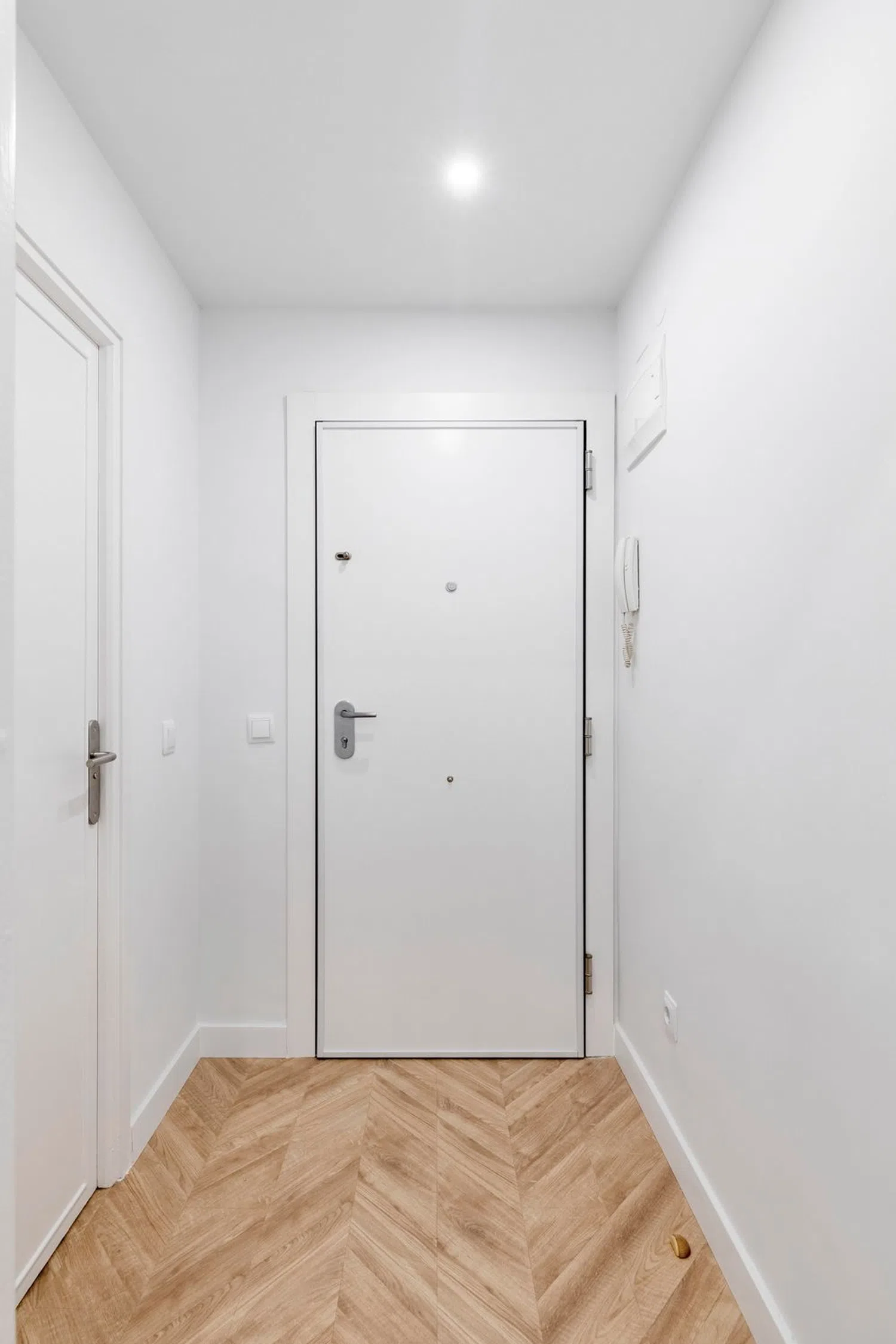 Estudio en calle de Bolivia, 36 - Foto 2