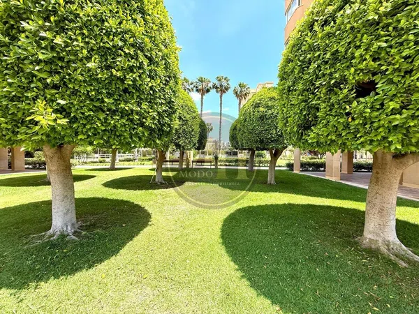 Piso en Plaza la Coruña, Playa de San Juan - Foto 40