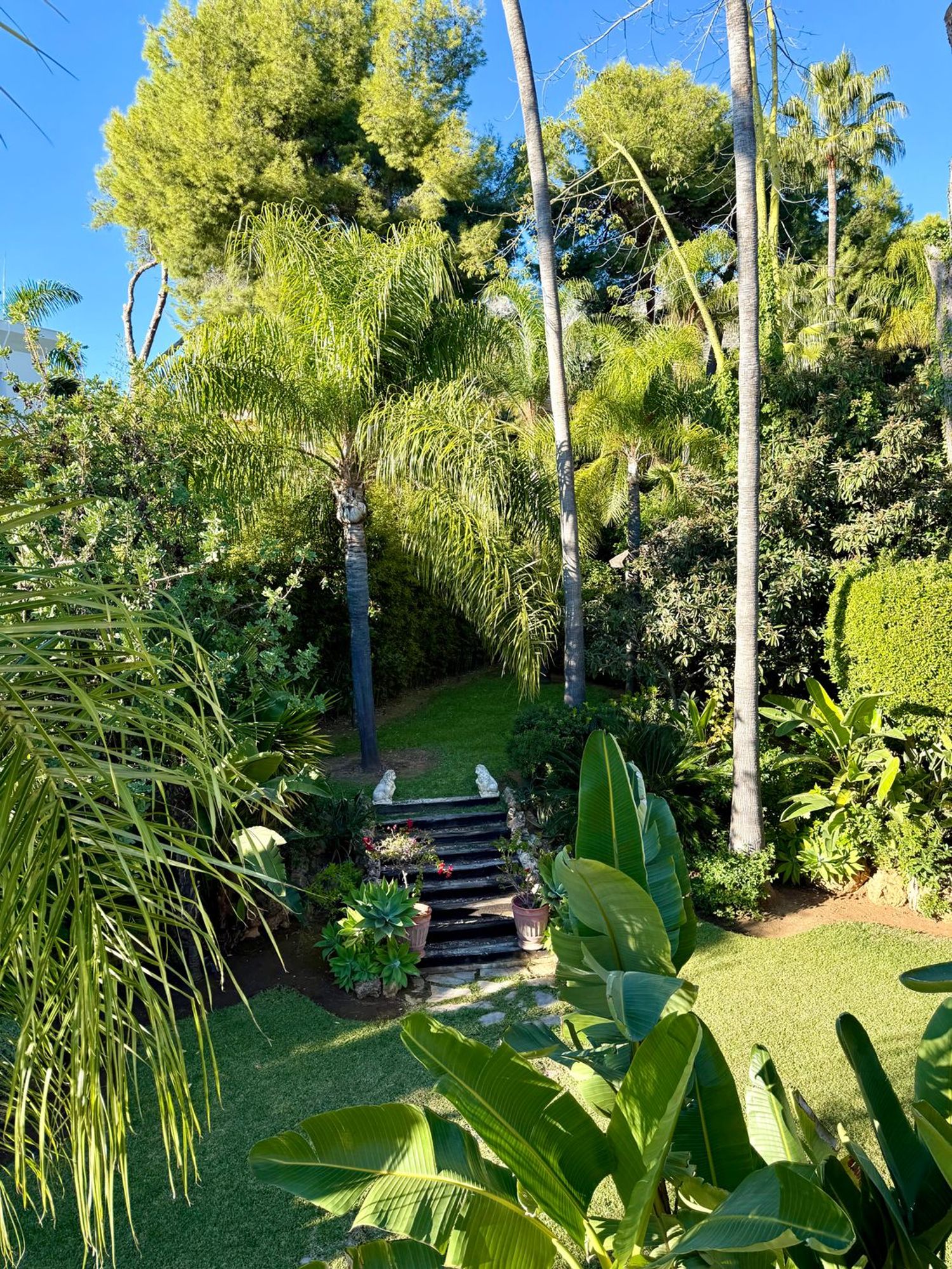 Casa independiente en Urbanizacion Altos Reales, 10 A3 - Foto 26