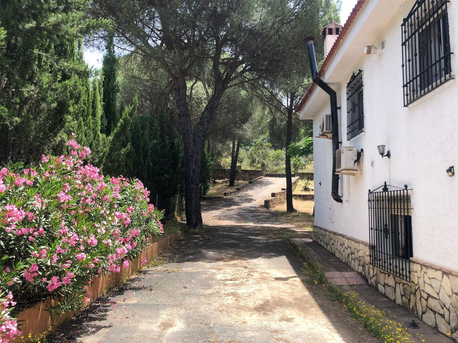 Casa rural en Avenida las Palomas, 14 - Foto 2