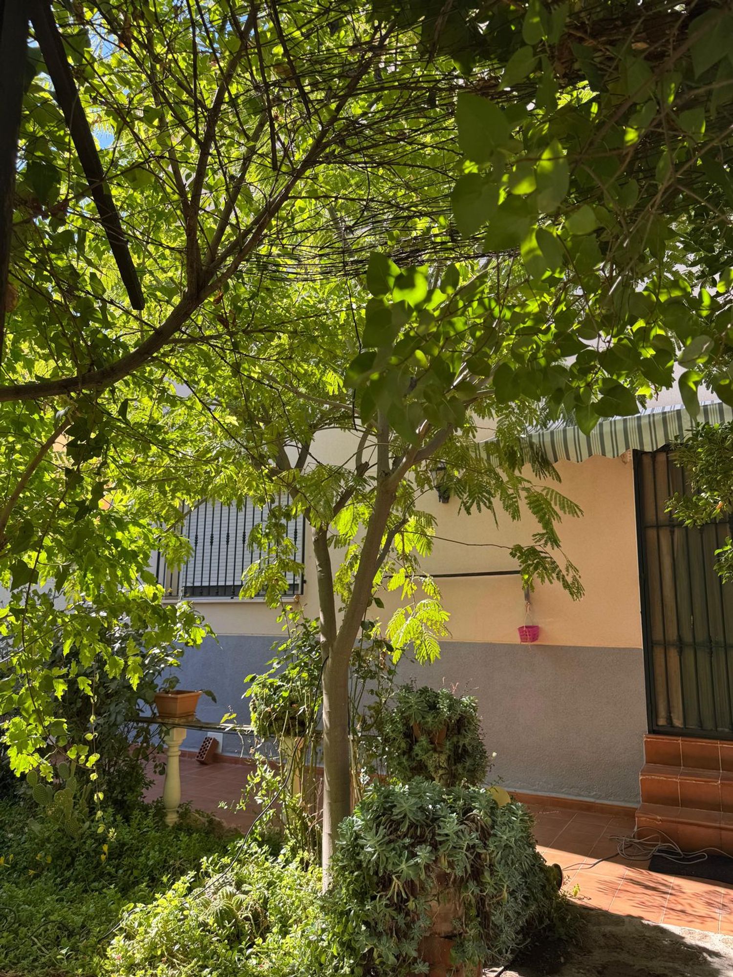 Casa o chalet independiente en Calle Miguel Ángel Blanco, 12 - Foto 13
