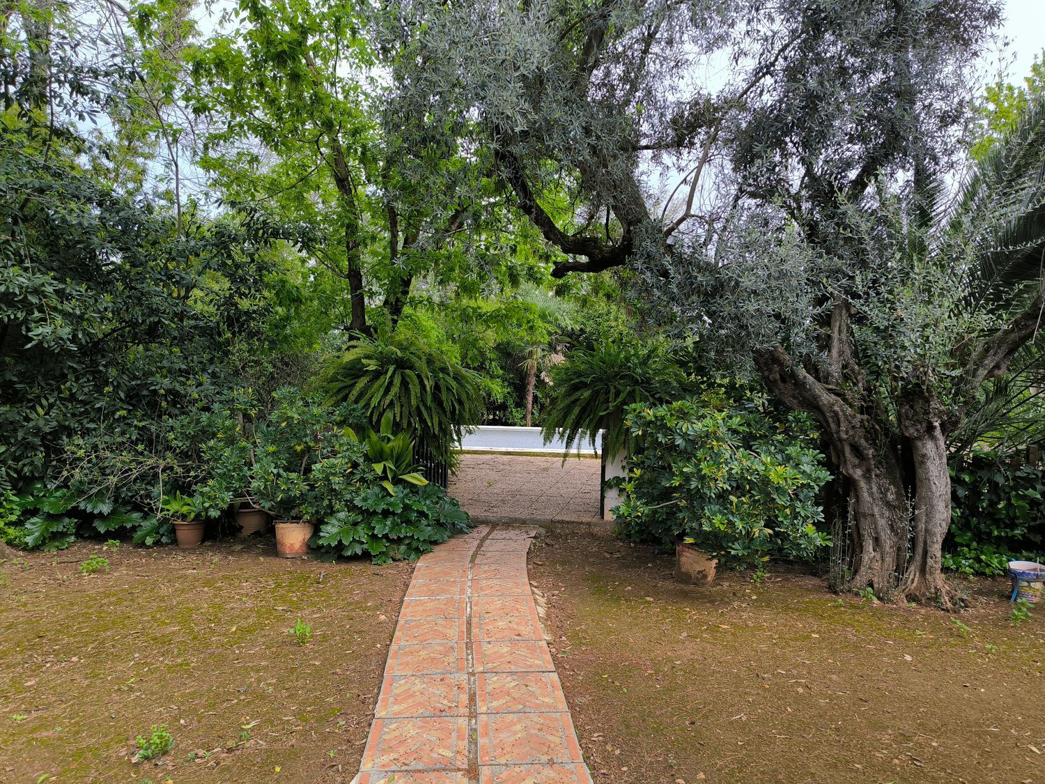 Finca rústica en Urb. Finca Atalaya Alta s/n s/n - Foto 2