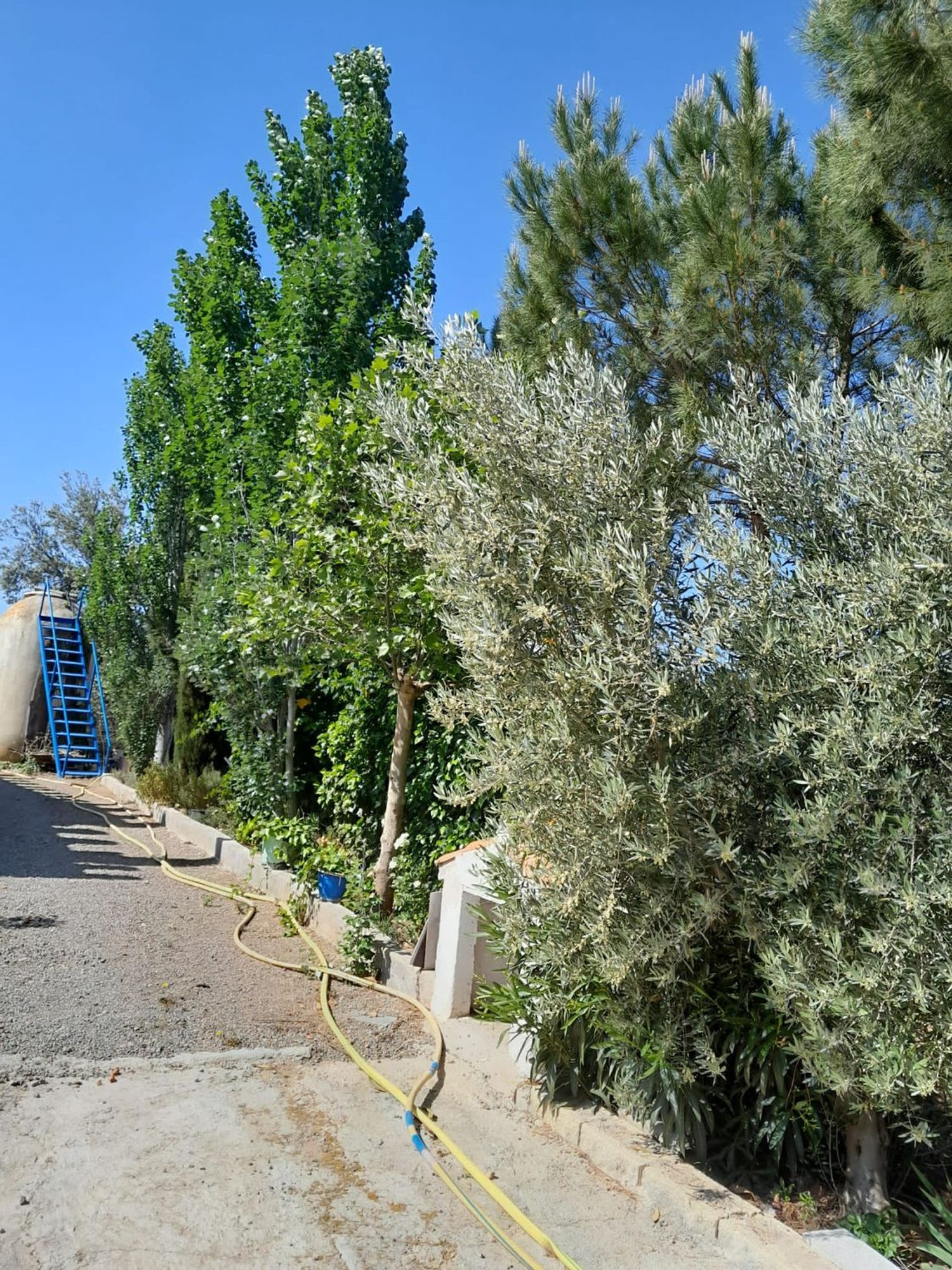 Casa o chalet independiente en Camino de Valdezarza a lo s/n - Foto 36