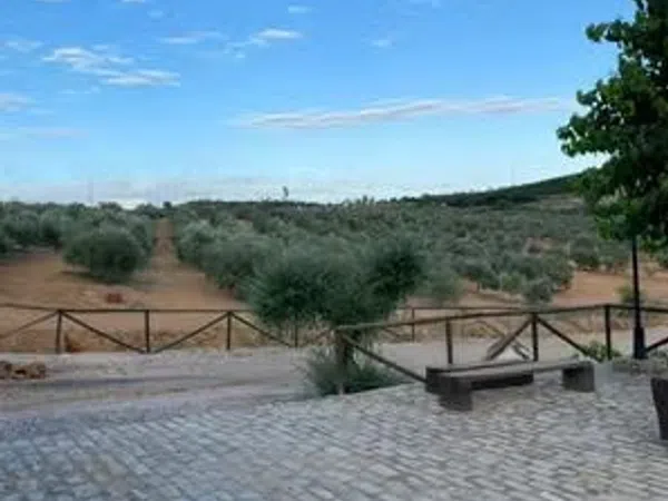 Finca rústica en Carretera Constantina, 4 Fincarusticaenctraconstantinakm - Foto 5