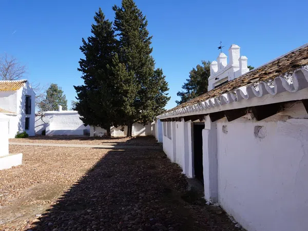Cortijo en Cortijo en Carretera Mairena del Alcor, Brenes, 4 Km - Foto 7