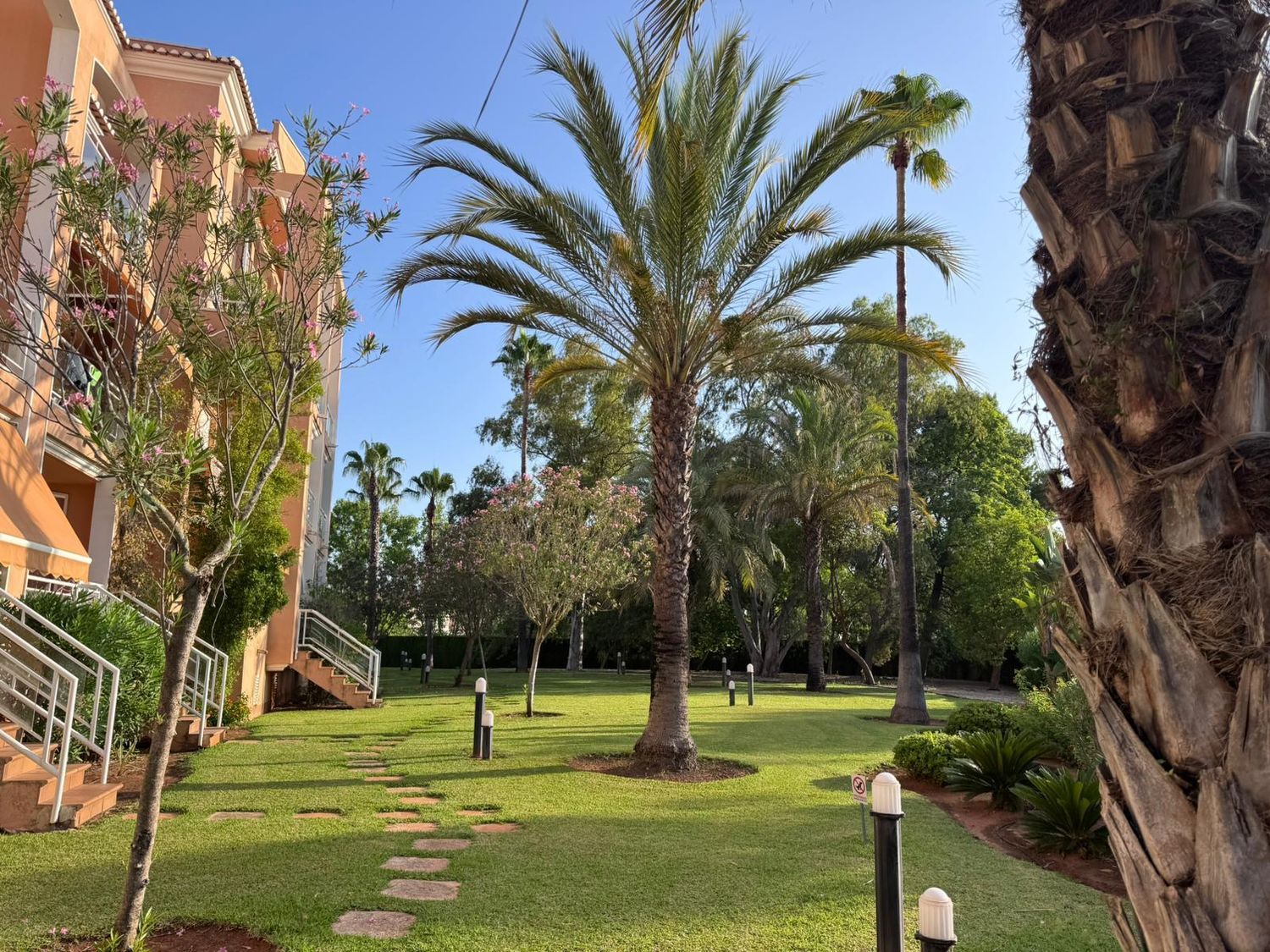 Piso en Avenida de Gaudi, 13, Oliva Nova, Oliva Nova - Foto 20