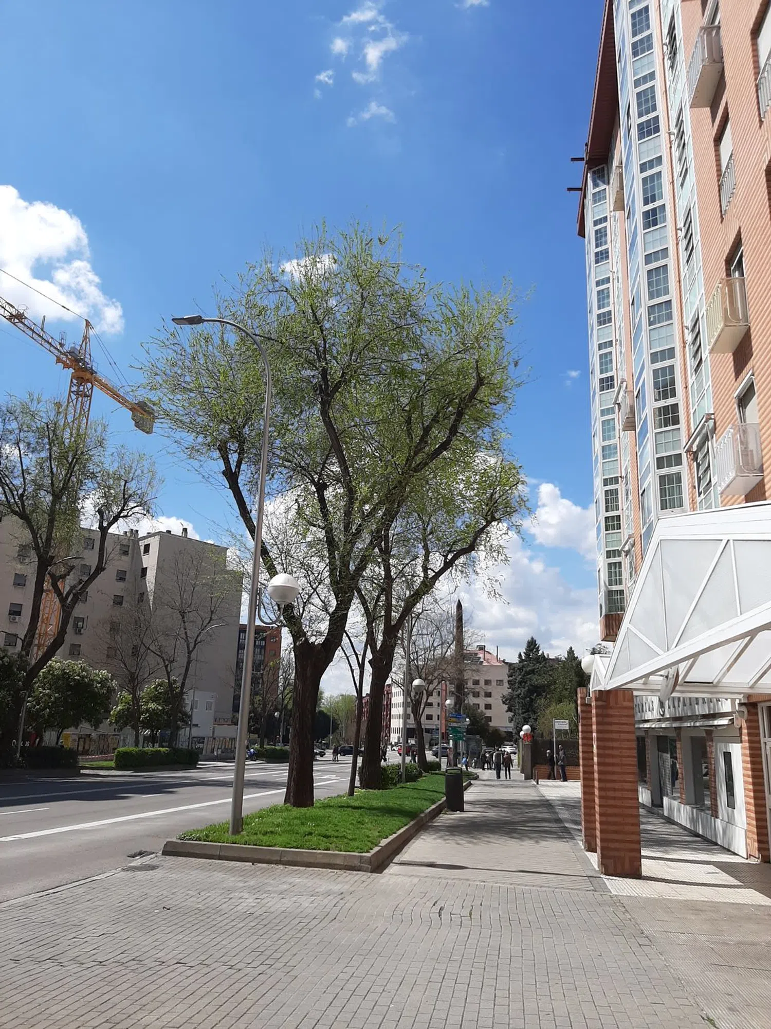 Piso en paseo de las Acacias, 30 - Foto 1