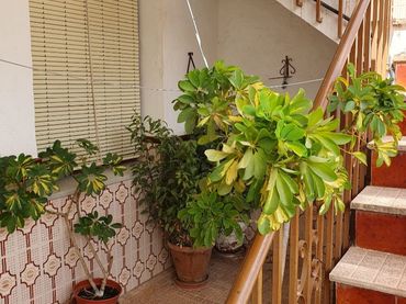 Chalet en  Avenida Santa María del Reposo 47 - Foto 4