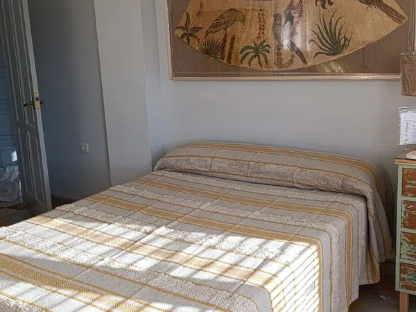Estudio en hierbabuena, 44 - Foto 7
