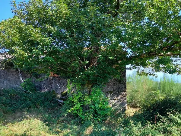 Casa de pueblo en Lugar Outeiro-xesta, 8 - Foto 8