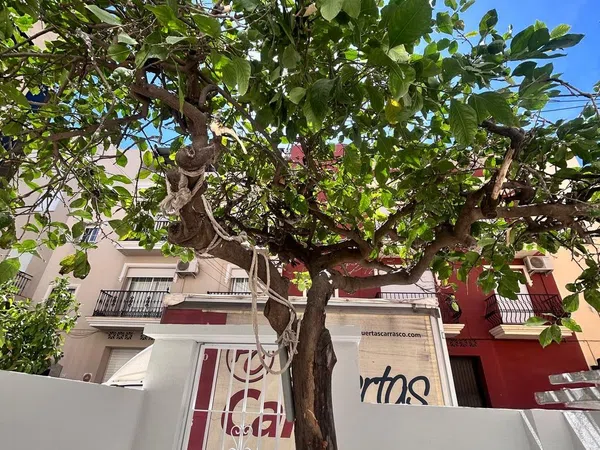 Piso en Clavel, 48 - Foto 6