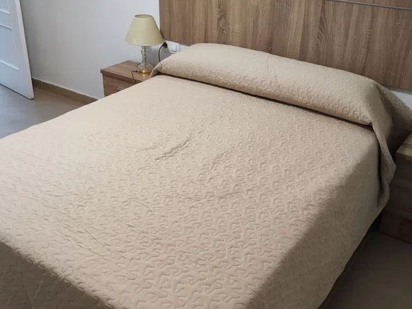 Piso en San Vicente de Paul, 14, Ronda de Triana-Patrocinio-Turruñuelo - Foto 22