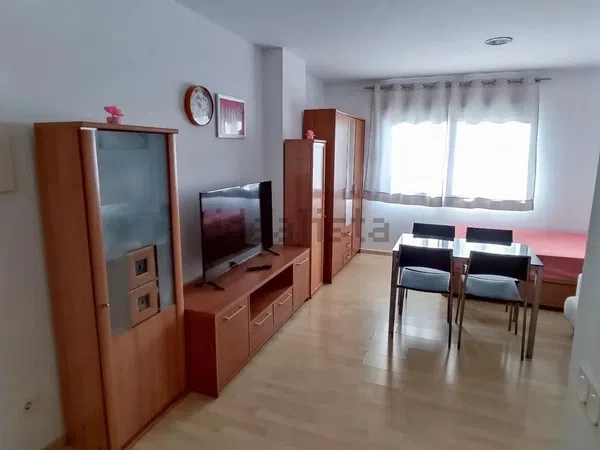 Estudio en Calle Pacífico, Huelin - Foto 1