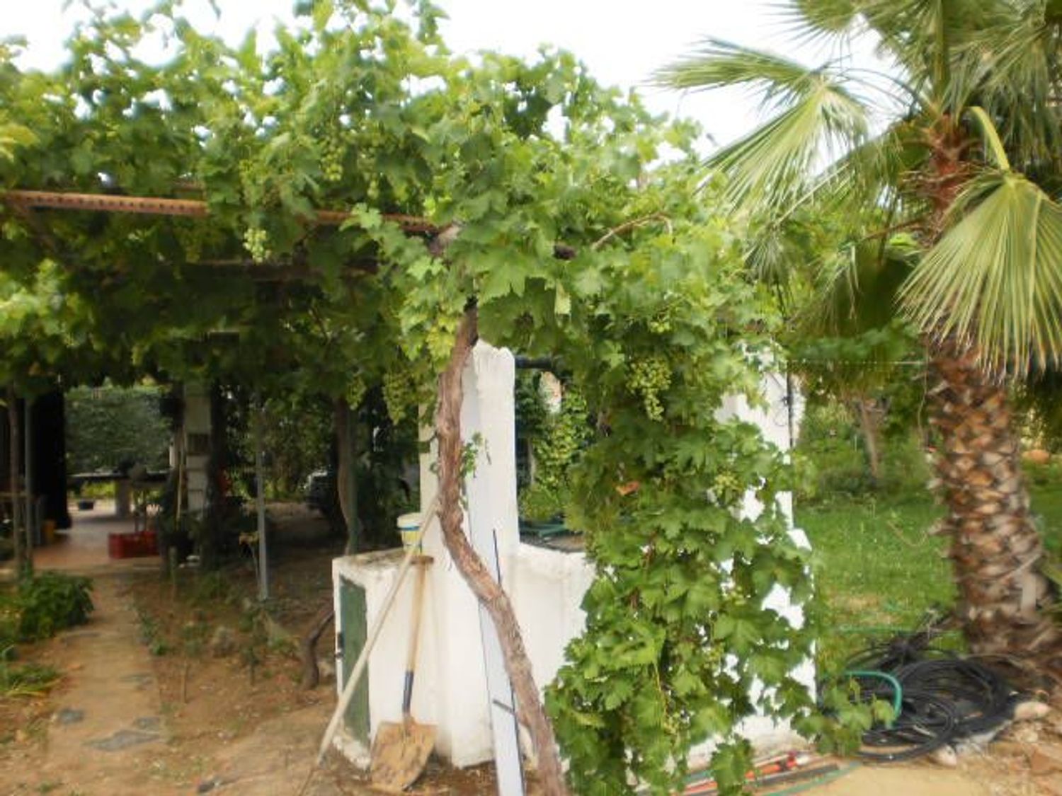 Cortijo en Ba-012 s/n - Foto 7