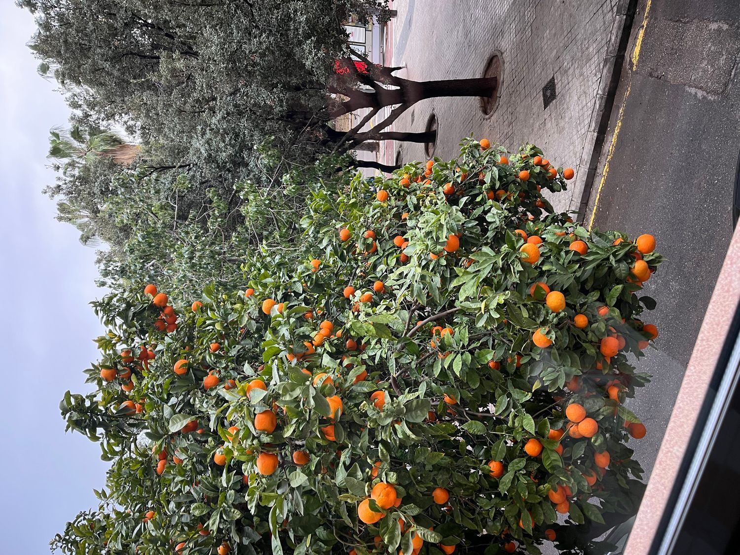 Piso en calle de Tirant lo Blanch, 25 - Foto 8