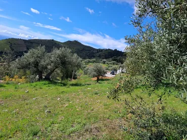 Finca rústica en  Diseminado el Cerval Pol 15 34B - Foto 29