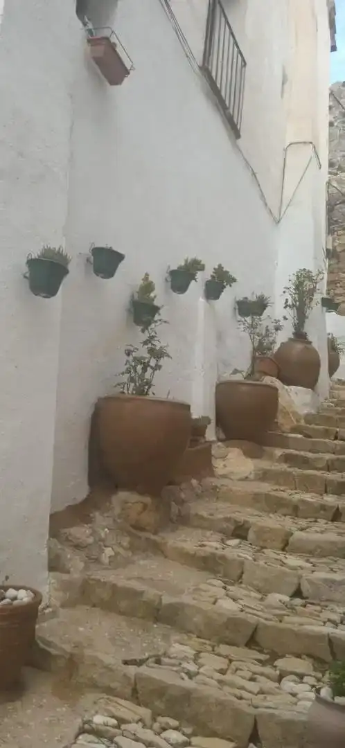 Finca rústica en  Cuesta Castellana 1 - Foto 7