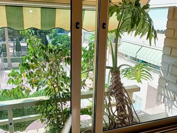 Piso en calle Padre Recaredo de Los Rios, 39 - Foto 3