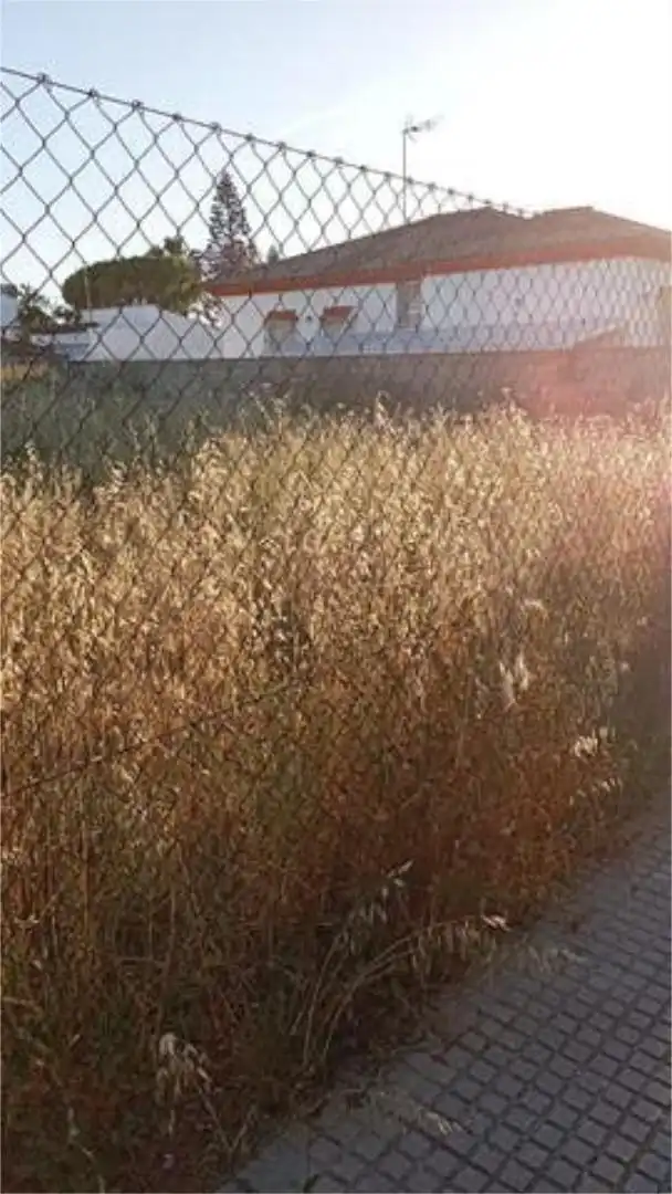 Casa adosada en campito - Foto 3