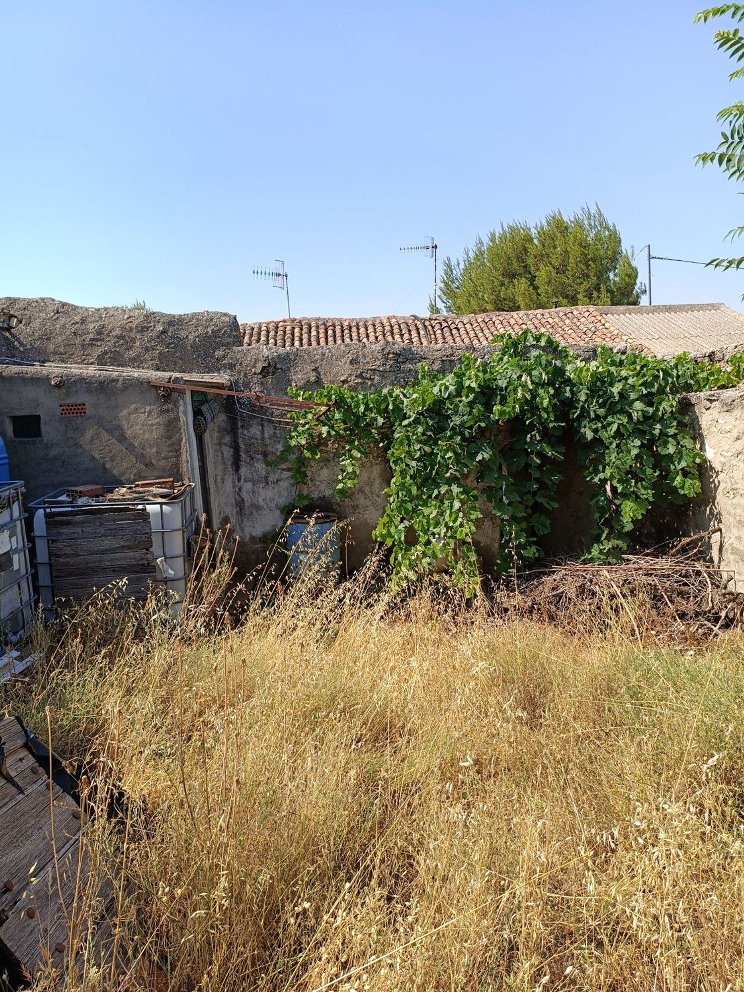 Casa terrera en Paraje Las Fuentes s/n - Foto 31
