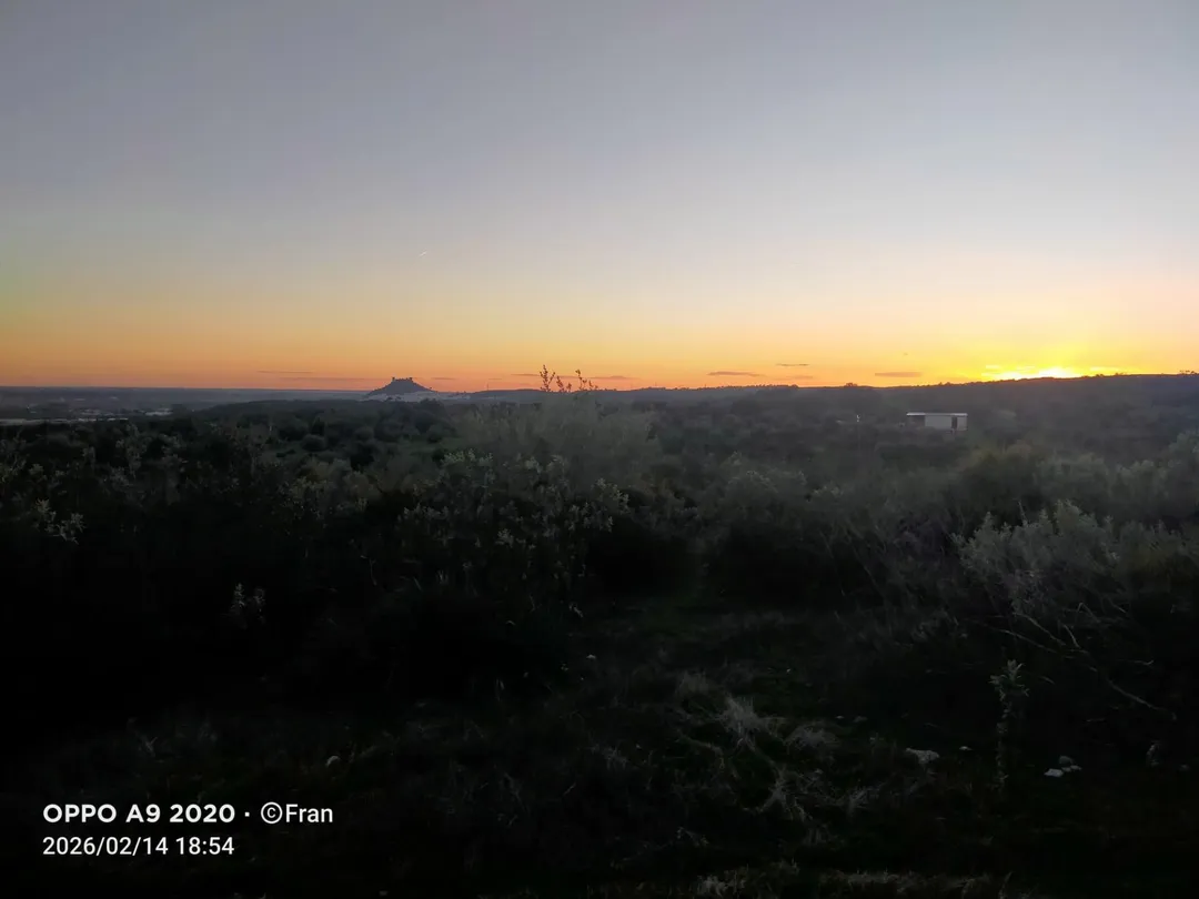 Finca rústica en  Calle Héctor Villa-Lobos 5 - Foto 11