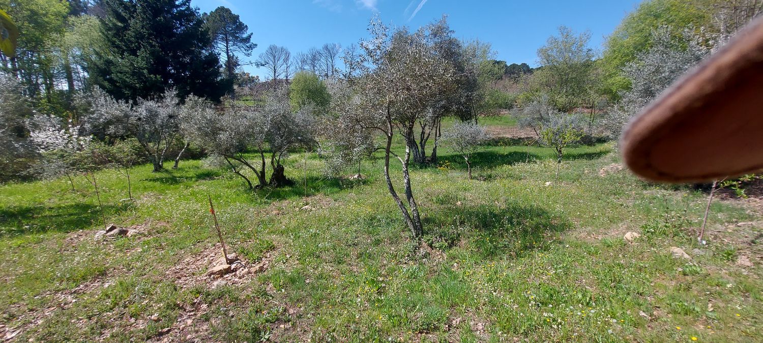 Casa o chalet independiente en Carretera Forestal de la Pregonera, 924 Av - Foto 5